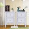 Set of 2 Nightstand Bedside End Table Shelf with 2 Drawers Bedroom Furniture